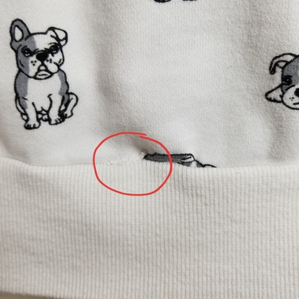 Forever 21 | puppy graphic sweatshirt - Picture 7 of 8